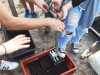 mottes-semi-chantier-jeunes